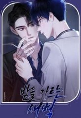 tb_the-dawn-split-the-night