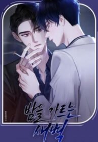 tb_the-dawn-split-the-night