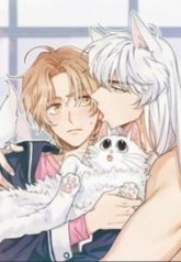 tb_my-one-and-only-cat