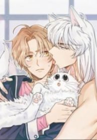 tb_my-one-and-only-cat