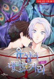 tb_to-catch-a-falling-star