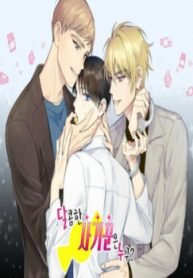 tb_who-is-a-sweet-cheater