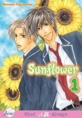 tb_teppen-no-himawari