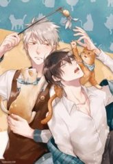 tb_le-chat-noir-est-le-magicien