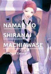 tb_namae-mo-shiranai-machiawase