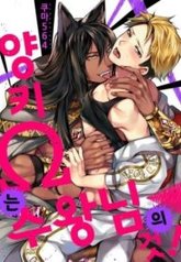 tb_yankee-wa-kemono-ou-sama-no-mono