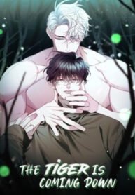 tb_the-tiger-is-coming-down