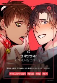 tb_cat-in-a-cardboard-box