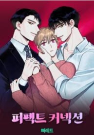 tb_perfect-connection