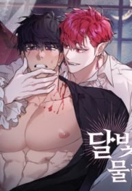 tb_under-the-moonlight