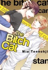 tb_bitch-na-neko-wa-dokusenyoku-ni-aragaenai