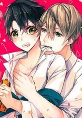 tb_nii-san-wa-chicchai-kedo-binkan-desu