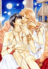 tb_taiyou-no-kikoushi