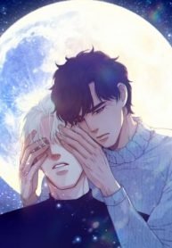 tb_starry-night