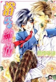 tb_abiru-junjou